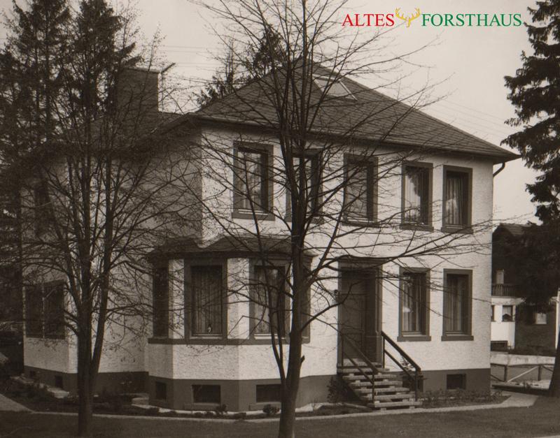 Altes Forsthaus Bed & Breakfast Мандершайд Екстериор снимка